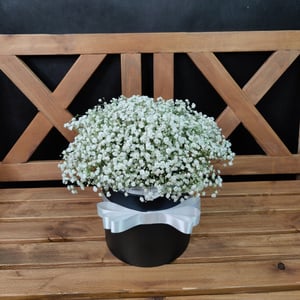 Flower box 'Hat box with white gypsophila'