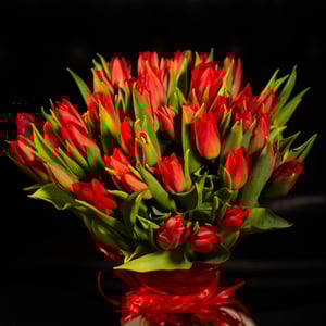 Bouquet 'Red tulips'