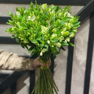 Blumenstrauß 'Grüne Frische'