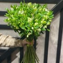 Blumenstrauß 'Grüne Frische'