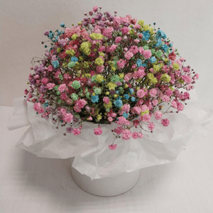 Gypsophile arc-en-ciel dans une boîte à chapeaux