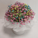 Rainbow gypsophila in a hat box