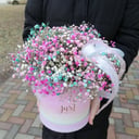 Hat box with flowers 'Gypsophila cloud'
