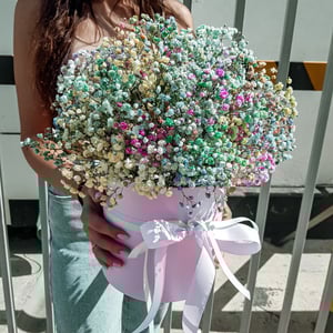 Arrangement 'Regenbogen'