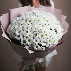 Blumenstrauß 'Bouquet "White camomile"'