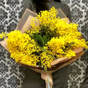 Mimosa bouquet