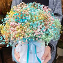Hat box with flowers 'Rainbow cloud'