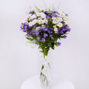 Bouquet 'Country chic: White Chrysanthemums and blue aster'