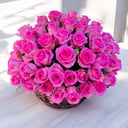 Fifty-one pink roses