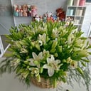 Basket with 35 Lilies