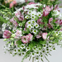 Ramo 'Bouquet of Chrysanthemums Santini, Eustoma and Alstroemeria'