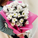 Bush chrysanthemum bouquet