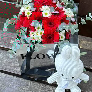 Flower basket 'Color Boom'