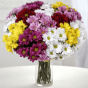 Bouquet of 15 spray chrysanthemums