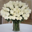A bouquet of 51 white roses