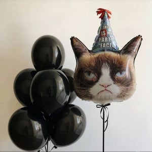 Cat Balloon and Balloon Fountain