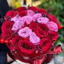 Bouquet 25 premium red roses with letter