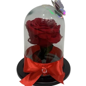 Ewige rote Rose in einer Mini-Kuppel