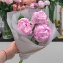 Bouquet of 3 peonies
