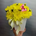 Blumenbox 'Fly of butterfly'