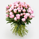 Bouquet of peonies "51 moments of love"