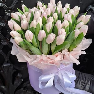 Blumenbox 'Stephanie'