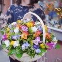 Flower basket 'Basket of colorful freesias'