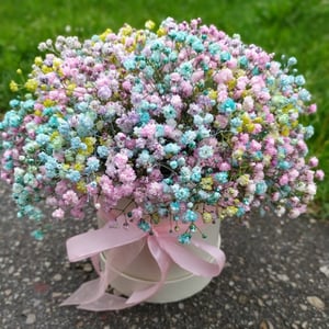 Hat box with flowers 'Star twinkle'