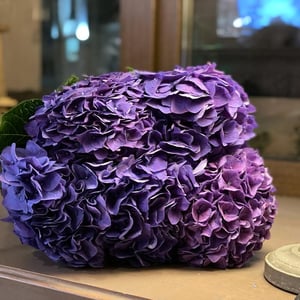 Blumenstrauß '5 purple hydrangeas'