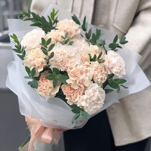 Bouquet of 13 carnations