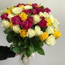 Bouquet 'Rose Kenya 51 pcs'