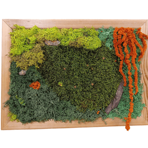 Jardín vertical naranja