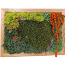 Jardín vertical naranja