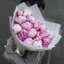 Bouquet '15 gorgeous peonies'