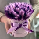 Arrangement 'Purple mood'