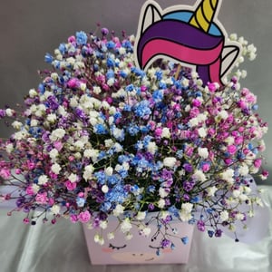 Flower box 'Colored gypsophila'