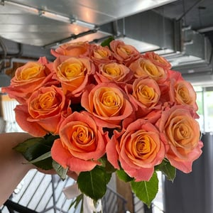 Blumenstrauß 'Intrigen'