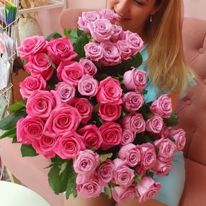 Pink roses in two colors