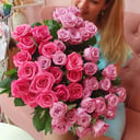 Pink roses in two colors