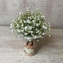 Flower box 'Glass with gypsophila'