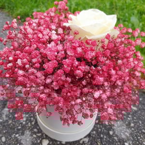 Hat box with flowers 'My only one'