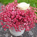 Hat box with flowers 'My only one'