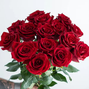 Classic bouquet of 15 red roses