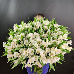 Bouquet de 51 alstroemerias "Magnificence"