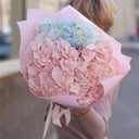 Bouquet of hydrangeas