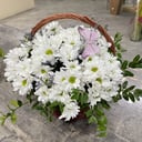 Flower basket 'Good choice'