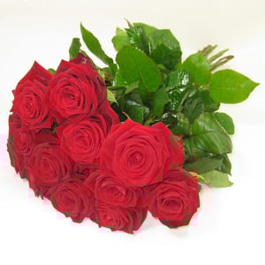 Bouquet of 12 red roses