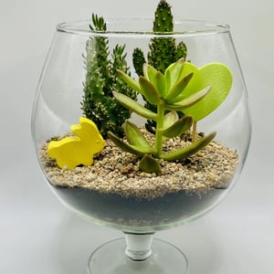 Harmony Terrarium