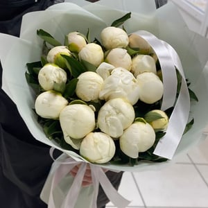 19 white peonies