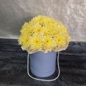 Chrysanthemum in a hat box